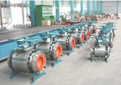 ��ľ���������